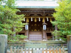 2/2 伊豆白浜神社拝殿