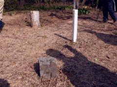 2/2 寝姿山　三等三角点