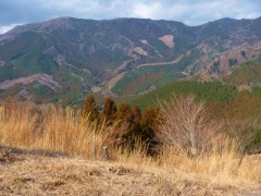 2/2新山峠から右へ八丁池青スズ方面