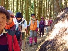樹林帯の良く踏まれた道