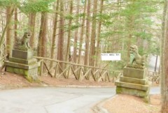 4/25 10:30三笠成田山神社入口の狛犬