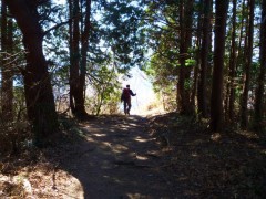 茅とを後に檜の樹林帯へ