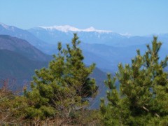 冠雪の南アルプス。北岳～間の岳