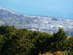 由比町を俯瞰